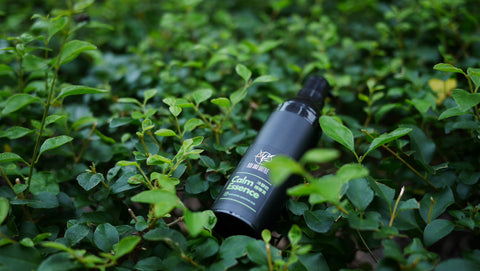 冷靜吧精華素 Calm Essence